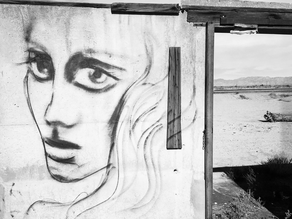Wild, Weird, and Seriously Captivating Facts That Might Just Blow Your Mind