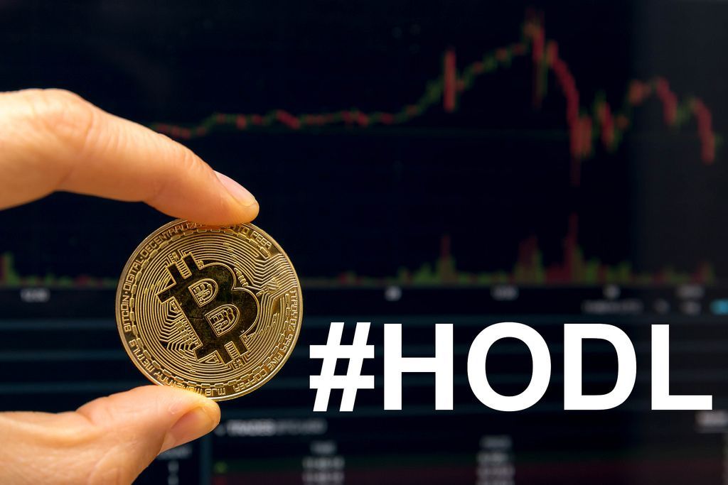 HODL or Trade? The Dilemma of Crypto Investors
