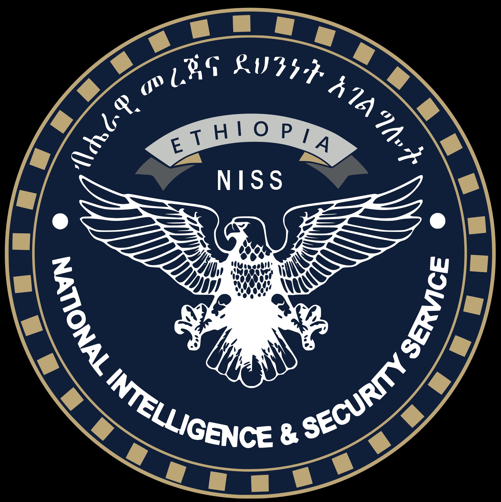intelligence national security