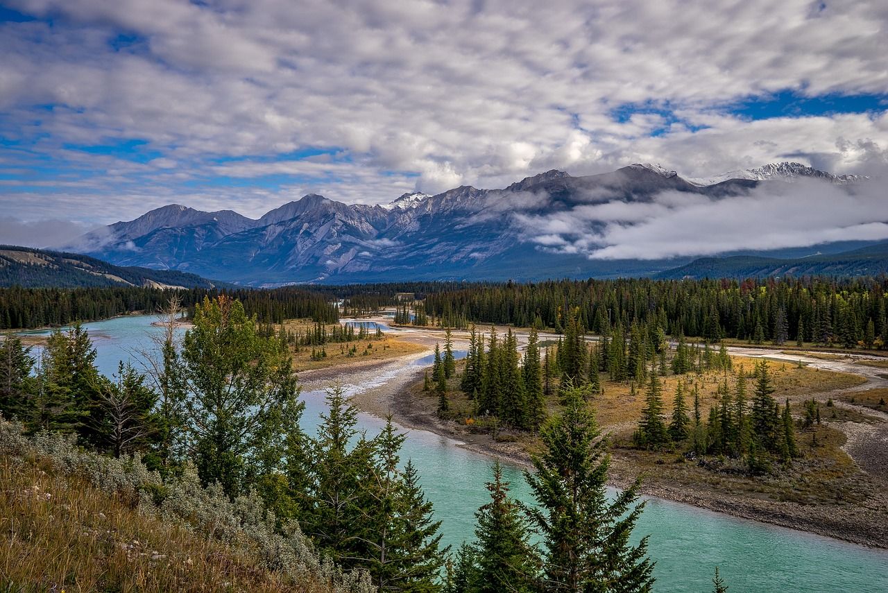 From Glaciers to Whales: Discover the Irresistible Charm of Canada