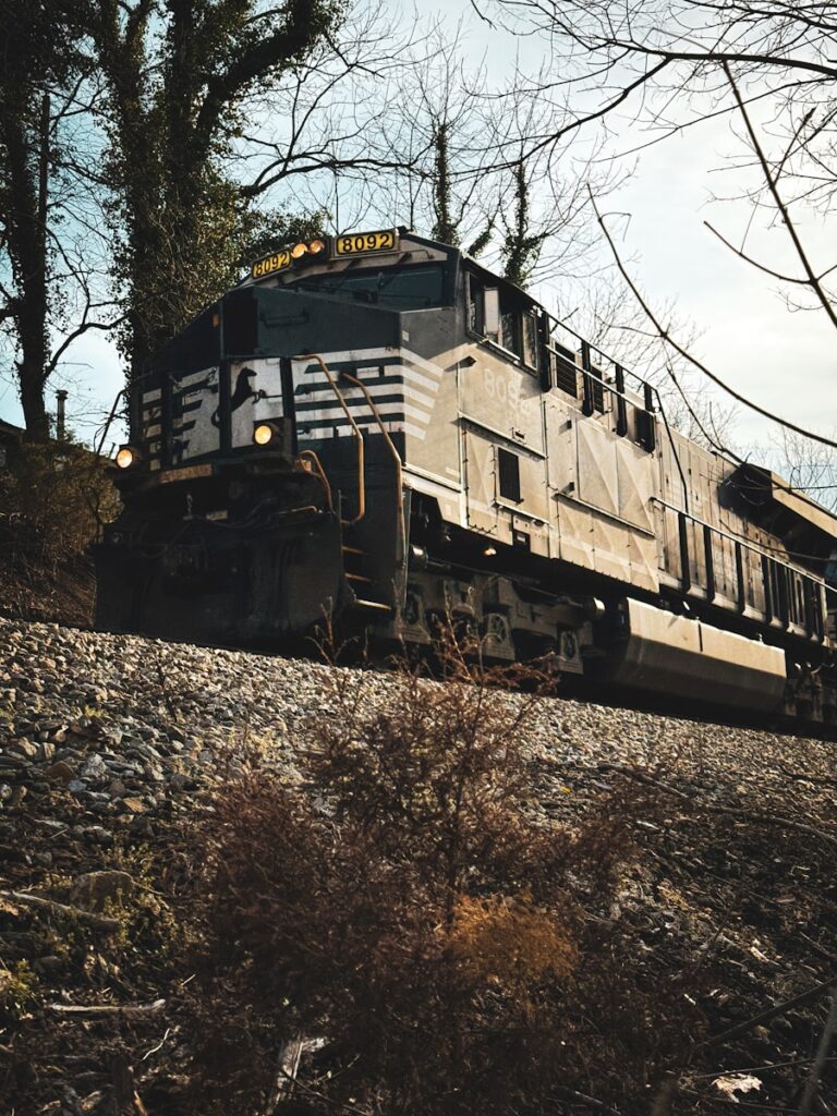 a train traveling down train tracks next to a forest