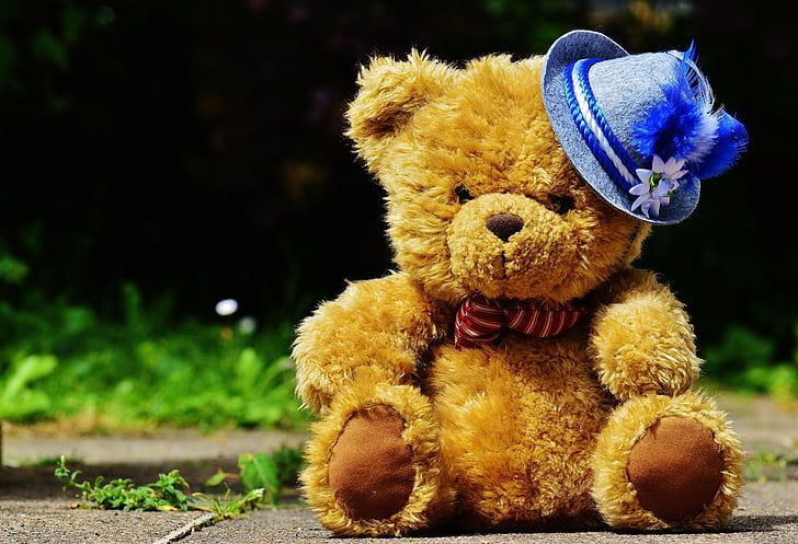 Dive Into the Whimsical World of Bear and Bowtie Puzzles