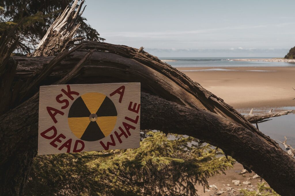 ask a dead whale signage