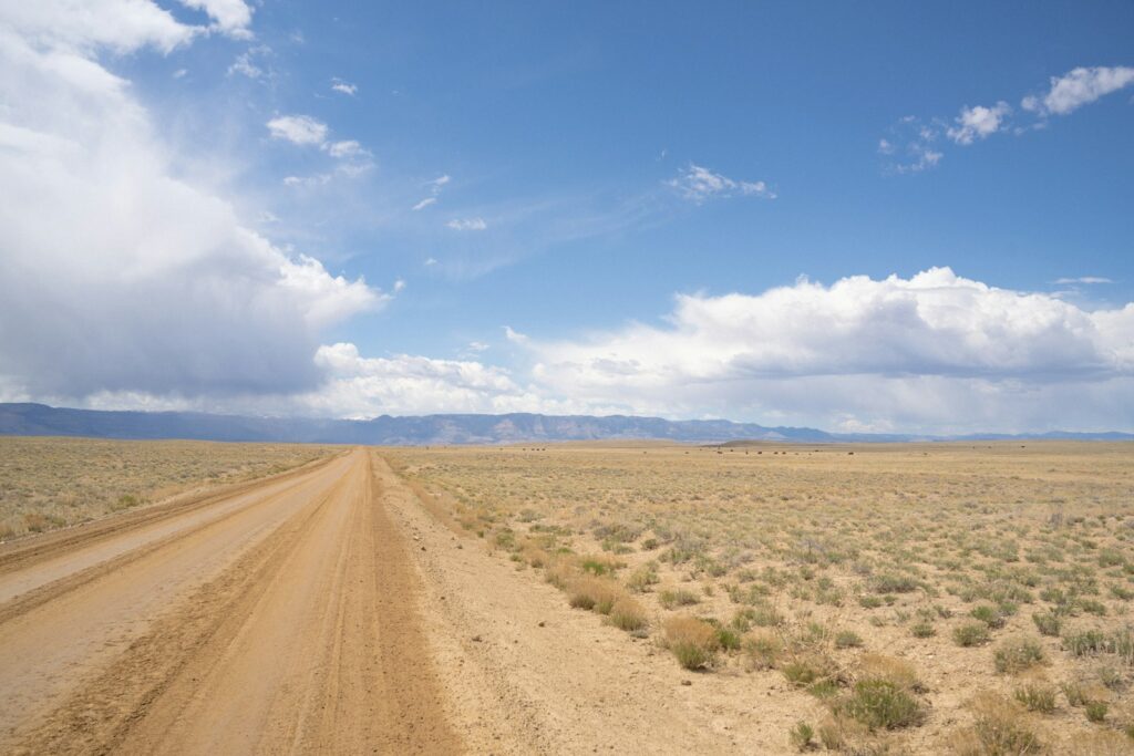 A dirt road in the middle of a desert