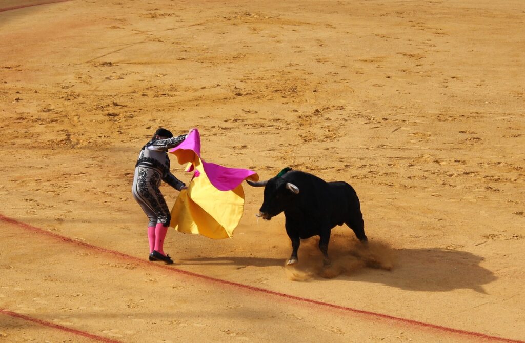 seville, bull fighting, bull