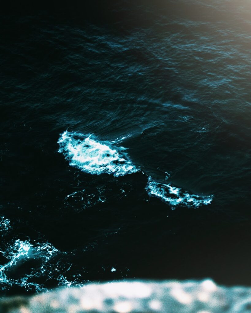 aerial photography body of water