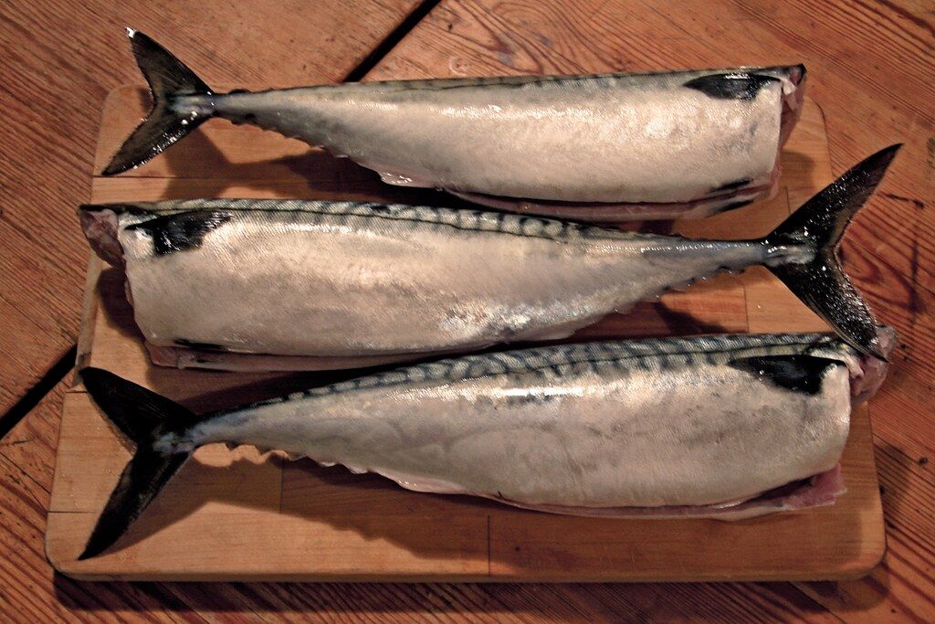 My Mackerel Odyssey: Unexpected Discoveries from Whole Foods to Asian Markets