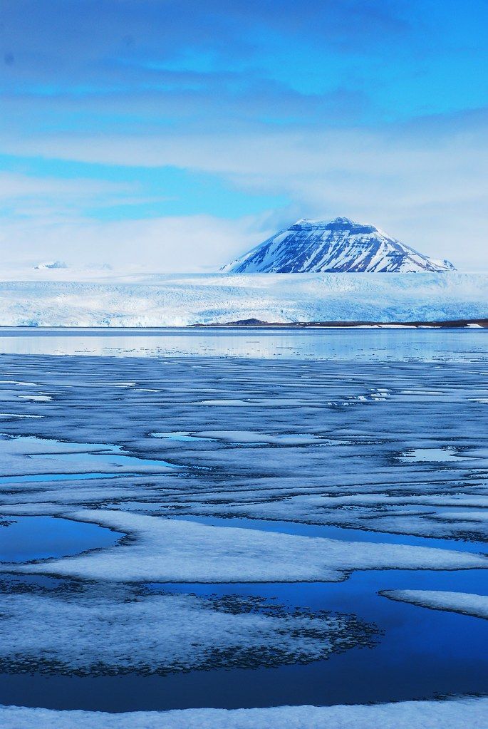 Discover the Magic of Svalbard’s Polar Night: Northern Lights, Cozy Living, and Unique Arctic Life