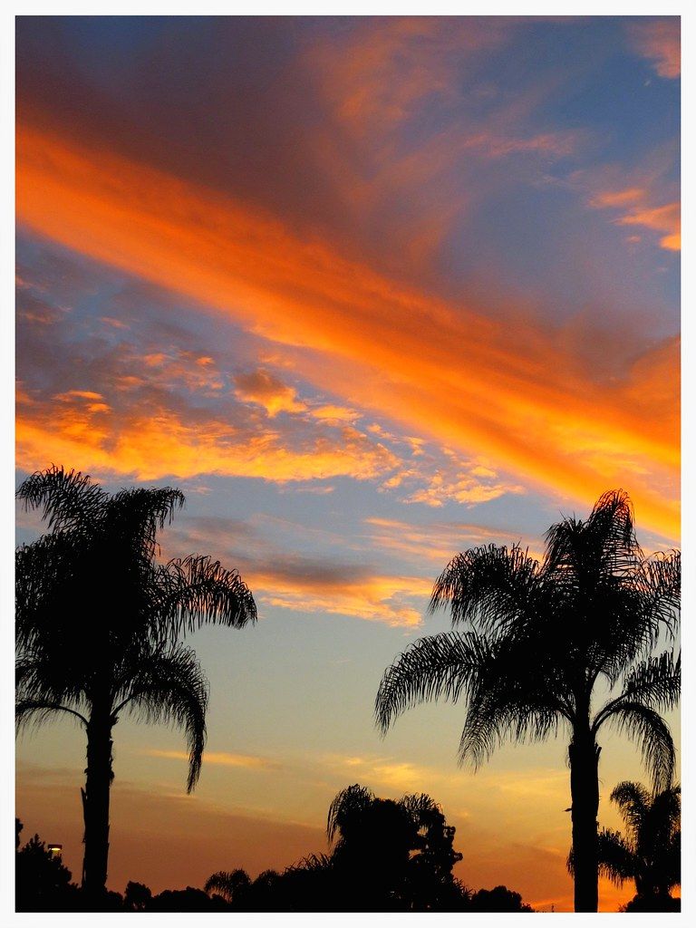 Southern California vs. The World: Why SoCal Wins the Vacation Showdown