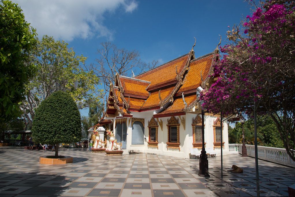 Revisit & Reflect: How Going Back to Familiar Places Sparks Personal Growth