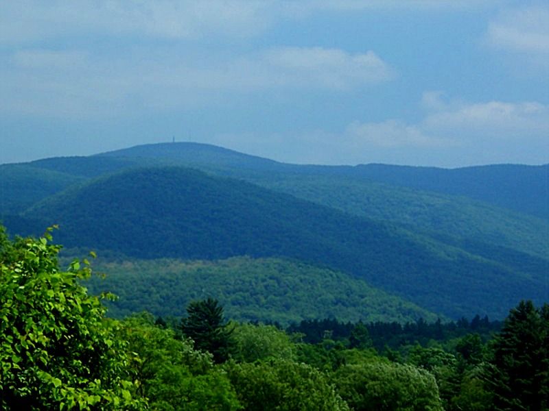 Discover the Best Fall Foliage at Mount Greylock, Massachusetts