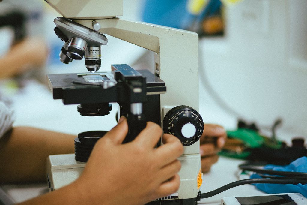Hope Prevents Drowning: Richter’s Shocking Rat Experiment Reveals Why Some Fight Longer