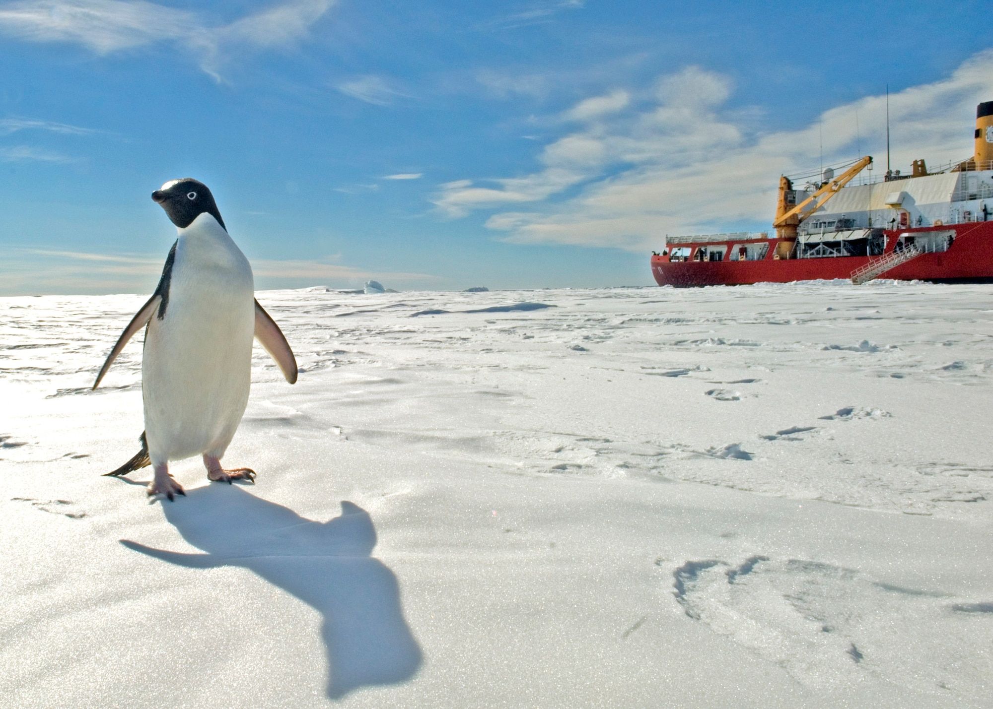 Secrets to Visiting Antarctica Without Breaking the Bank