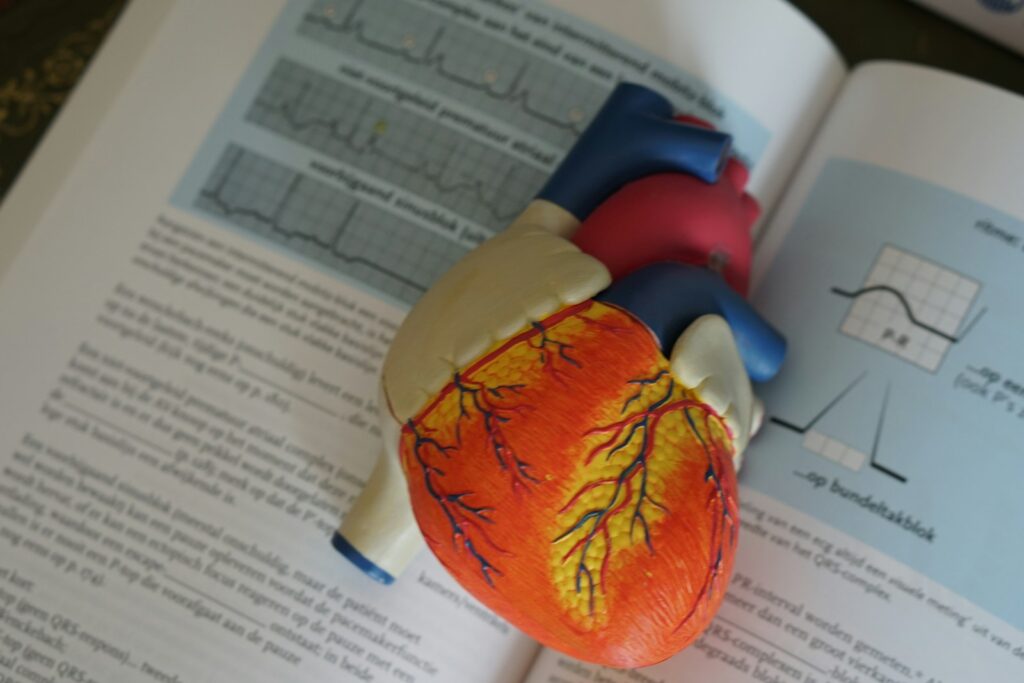 A Month Before: Your Body’s 11 Subtle Signals Warning of a Coming Heart Attack
