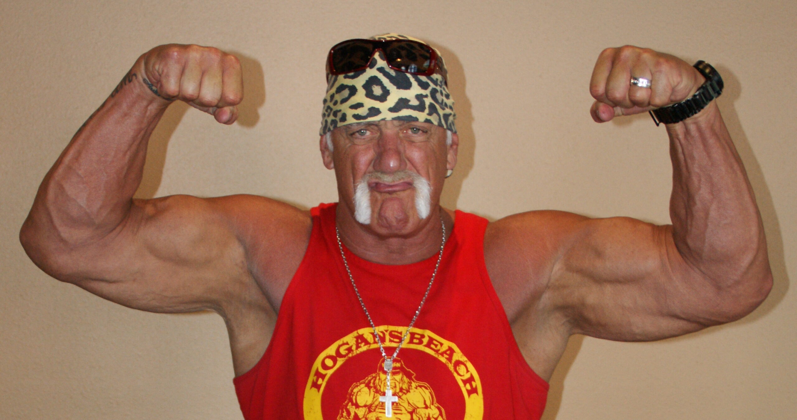 Hulk Hogan