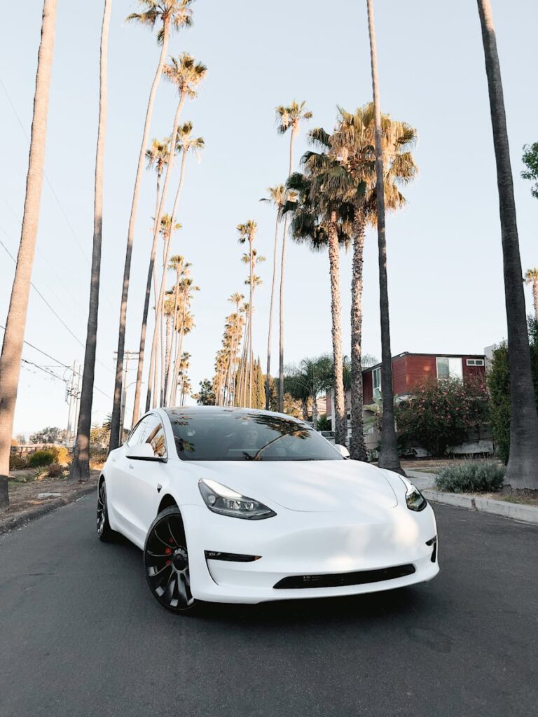 A sleek white Tesla Model Y parked on a palm-lined street capturing modern design.