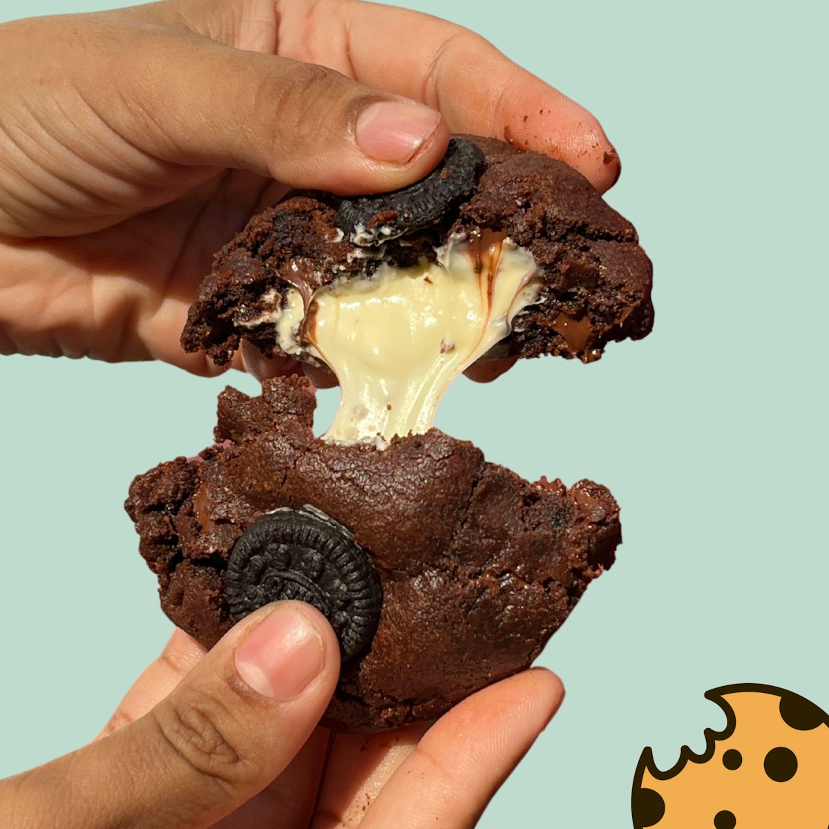 A chocolate cookie, stuffed with sweet cream.