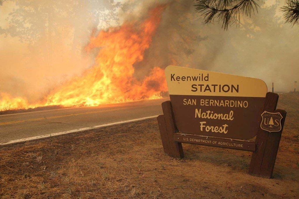 Gold Fire San Bernardino National Forest