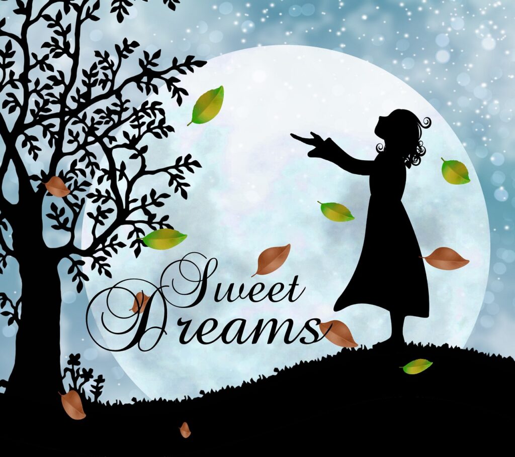 wish, dream, good night, sweet dreams, fantasy, fiction, silhouette, outlines, girl, moon, tree, meadow, fall, leaves, nature, falling leaves, wind