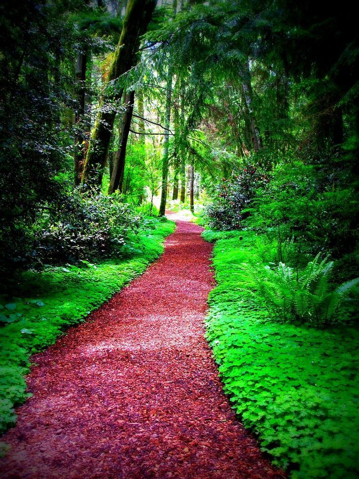 Pathways to Recovery: Reclaiming the Self and Critical Thought