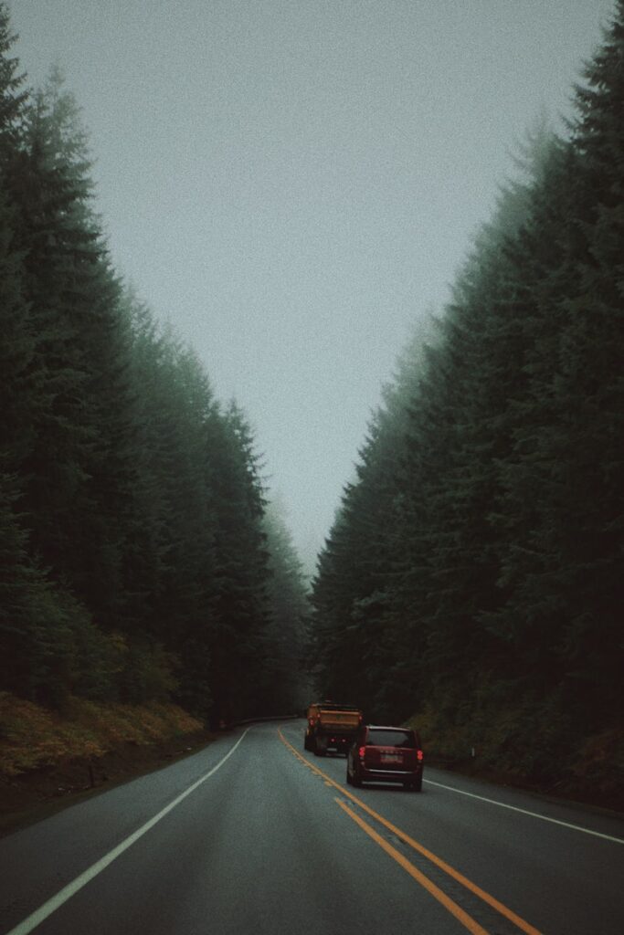 a car driving down a road next to a forest