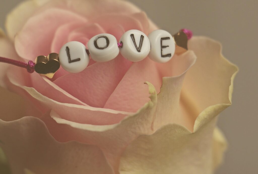 flower, beautiful flowers, rose, love, happy valentines day, rose flower, feelings, romantic, nature, flower wallpaper, happiness, valentine's day, in love, affection, flower background, connectedness