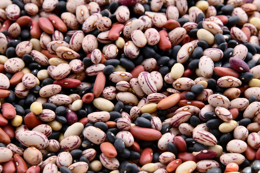 Beans & Rice