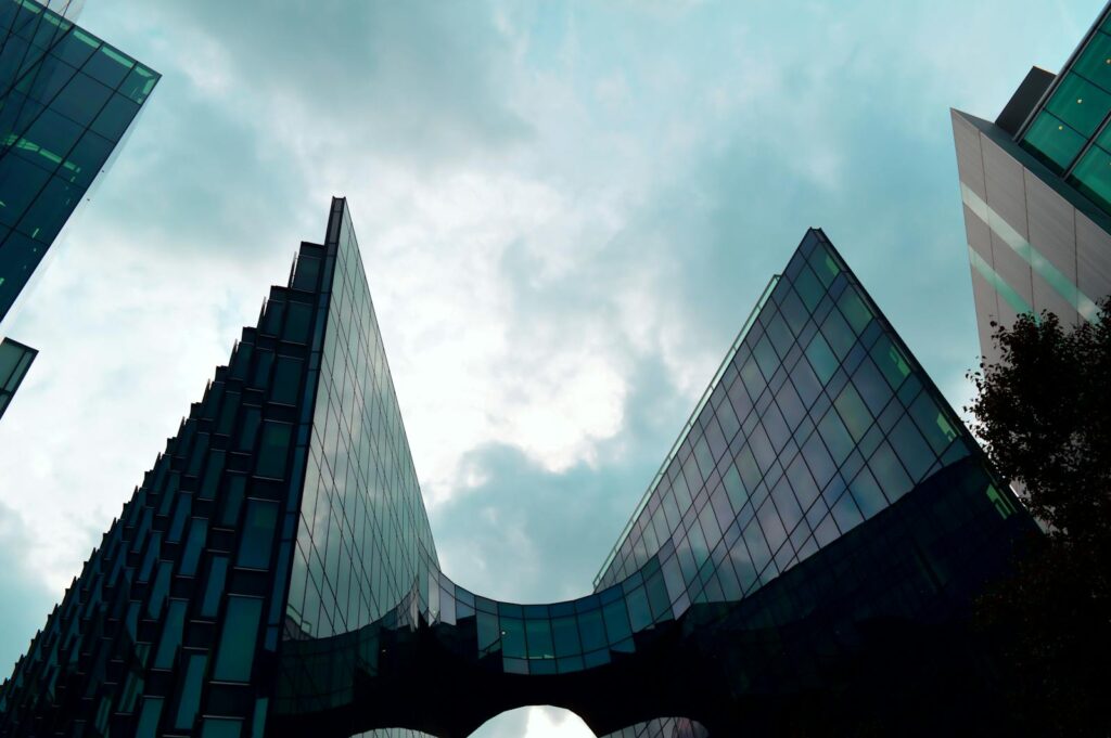 Beyond the Boardroom: Exposing the ‘Legal’ Corporate Structures Behaving Like Organized Crime Syndicates