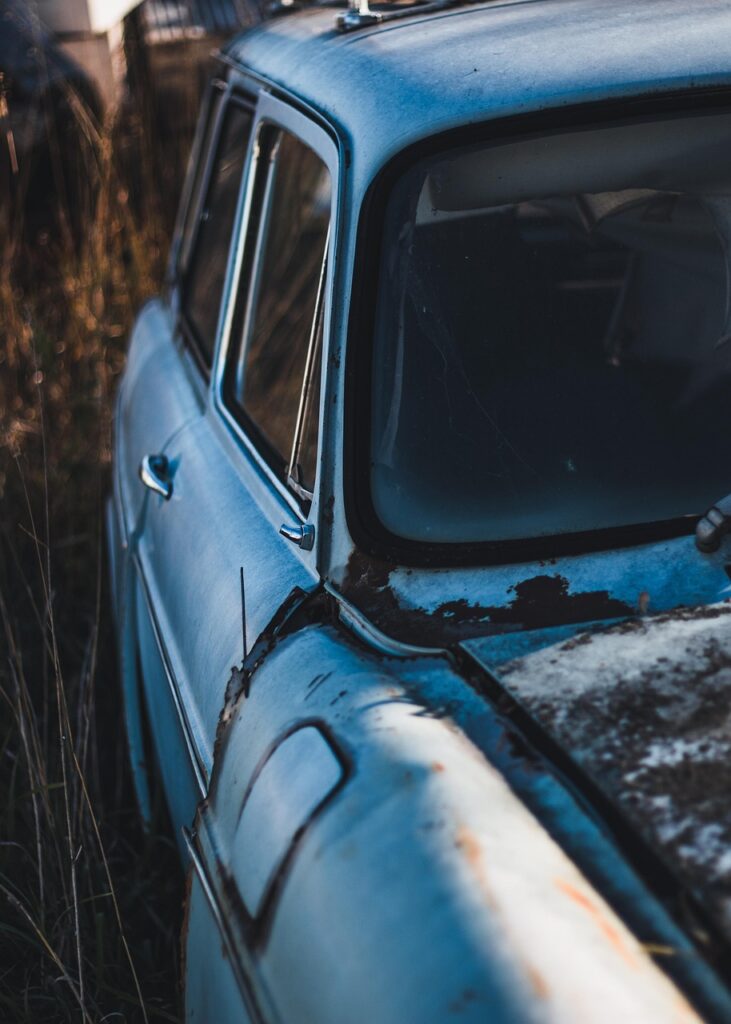 Weird and Wonderful Trends from the 50s That Will Leave You Amazed