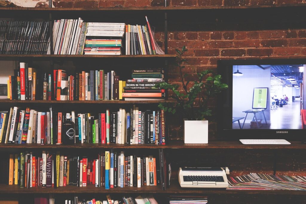 library, books, tv, multimedia, room, modern, interior, education, bookshelves, shelves, literature, knowledge, read, wisdom, reading, living room, library, library, library, room, room, room, room, room, education, education, living room, living room, living room