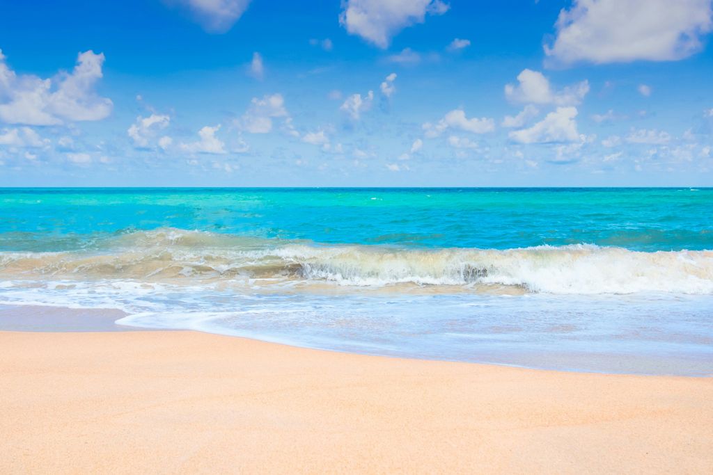 Sea Surface Temperature Variability