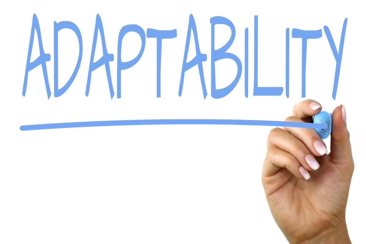 Championing Adaptability and Market Responsiveness
