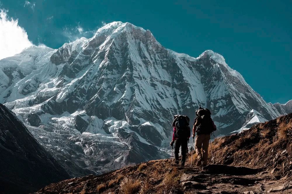 Travel Hacking for Beginners: Your Actionable Guide to Earning a Free Domestic Flight in 6 Months