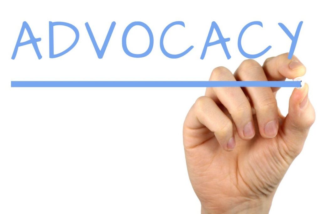 Which?’s Advocacy and Demands for Stellantis