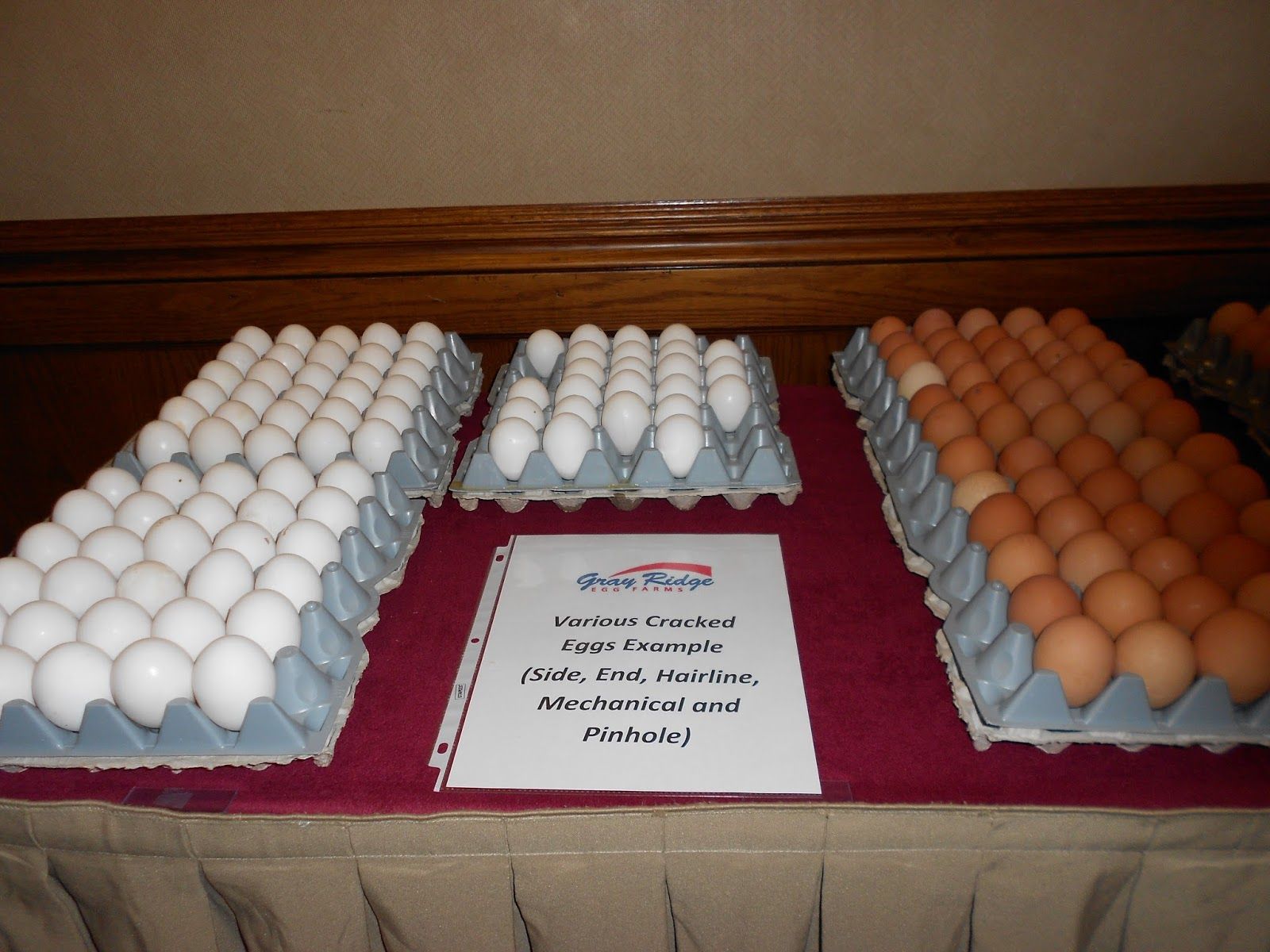 The End of a Long-Standing Myth: Reclaiming Eggs' Reputation