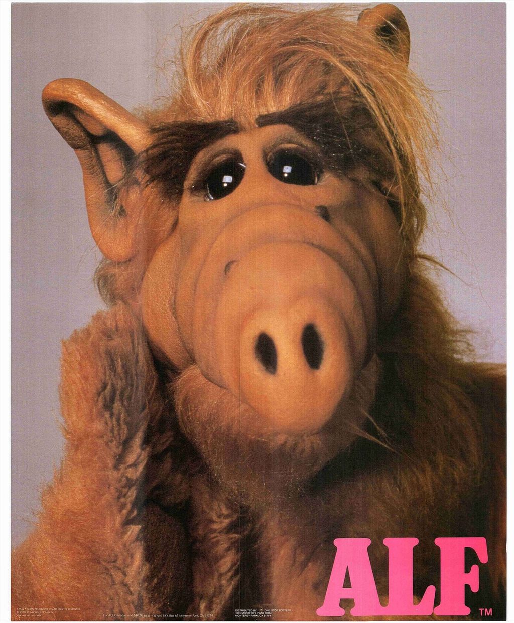 Alf Clausen joins The Simpsons
