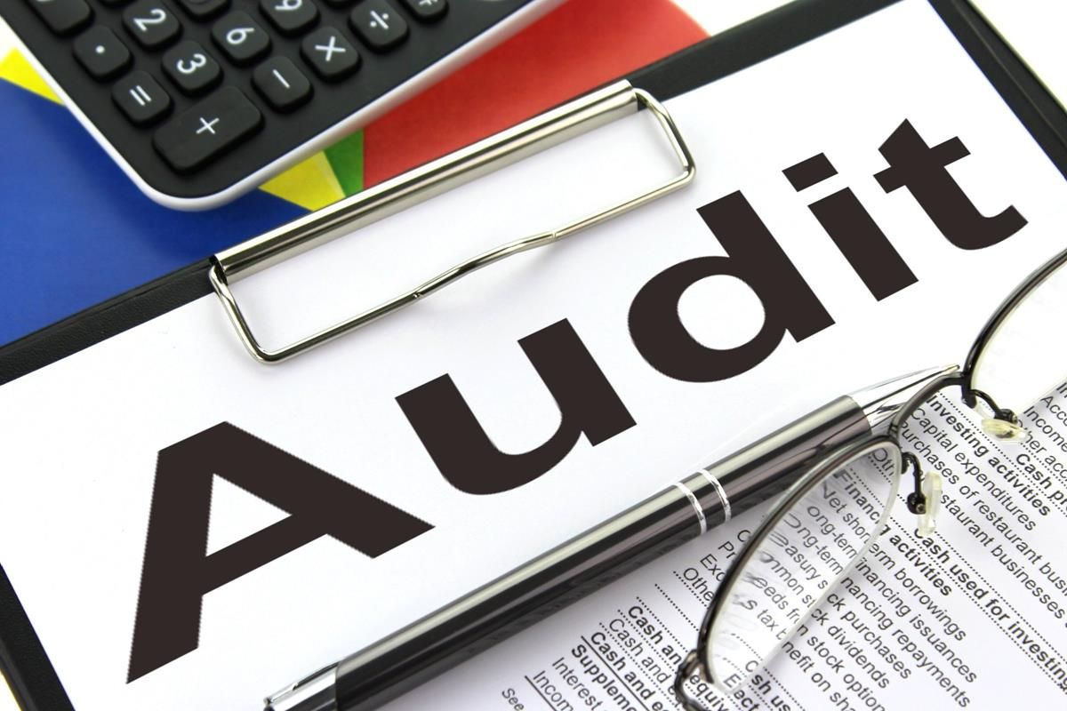 Audit training and upskilling programs