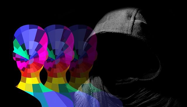 The Anonymity of the Suspect and Unreleased Vehicle Details