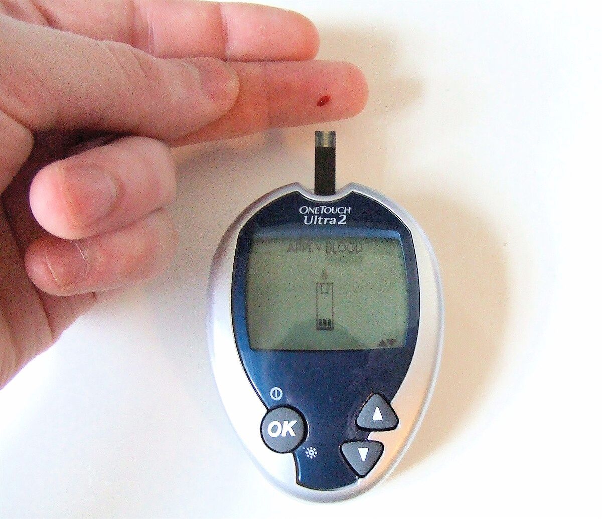Personalizing Your Watermelon Experience: Monitoring Blood Sugar