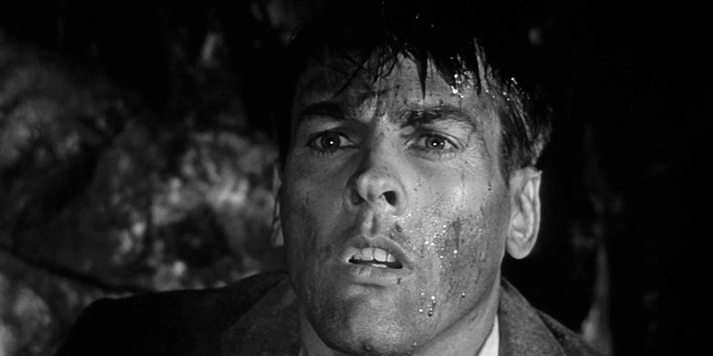 Invasion of the Body Snatchers (1956)