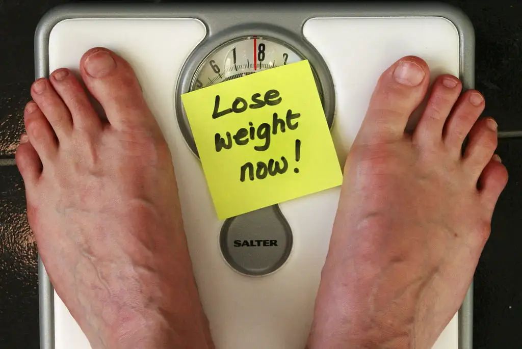 Online Weight Experts
