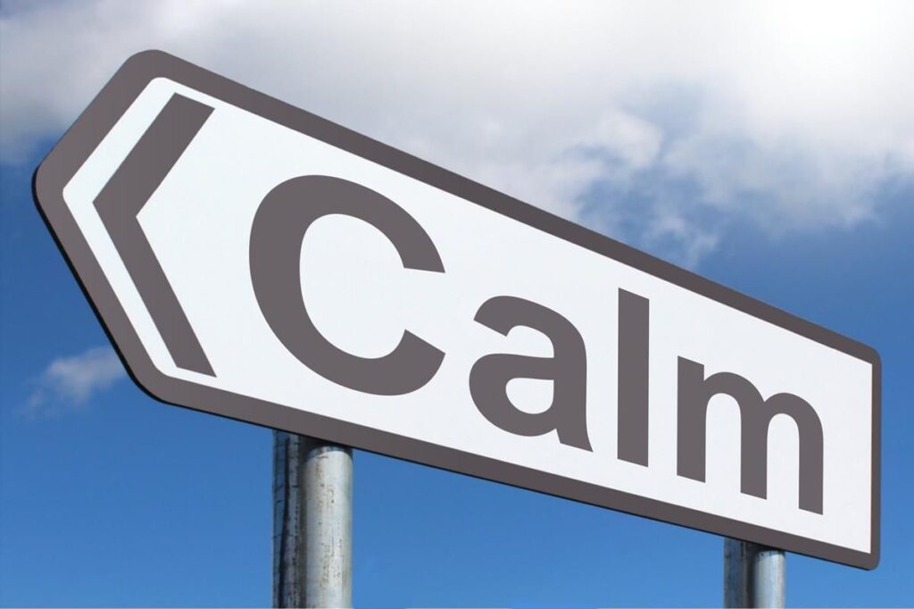 Declutter Your Car for Calm