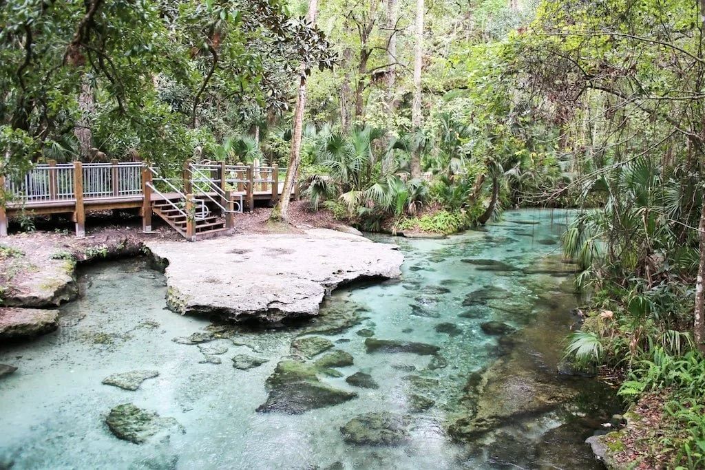 Iconic Natural Attractions: The Everglades and Beyond