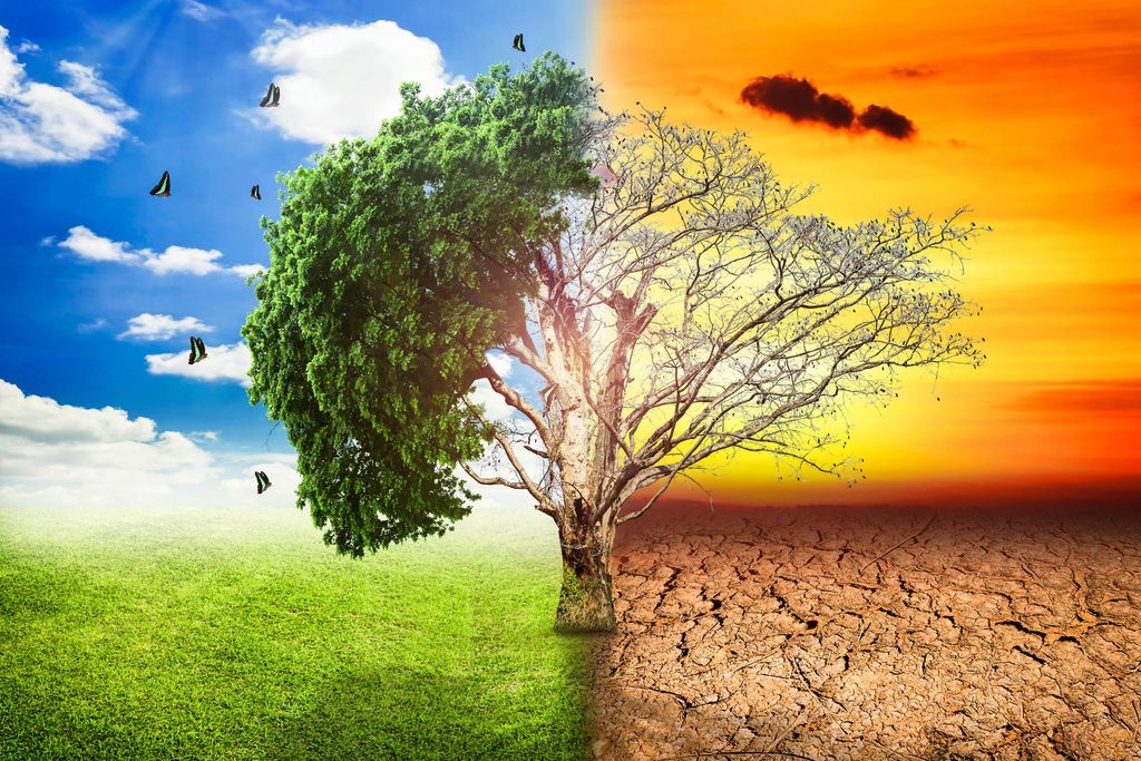 Climate Control Efficiency