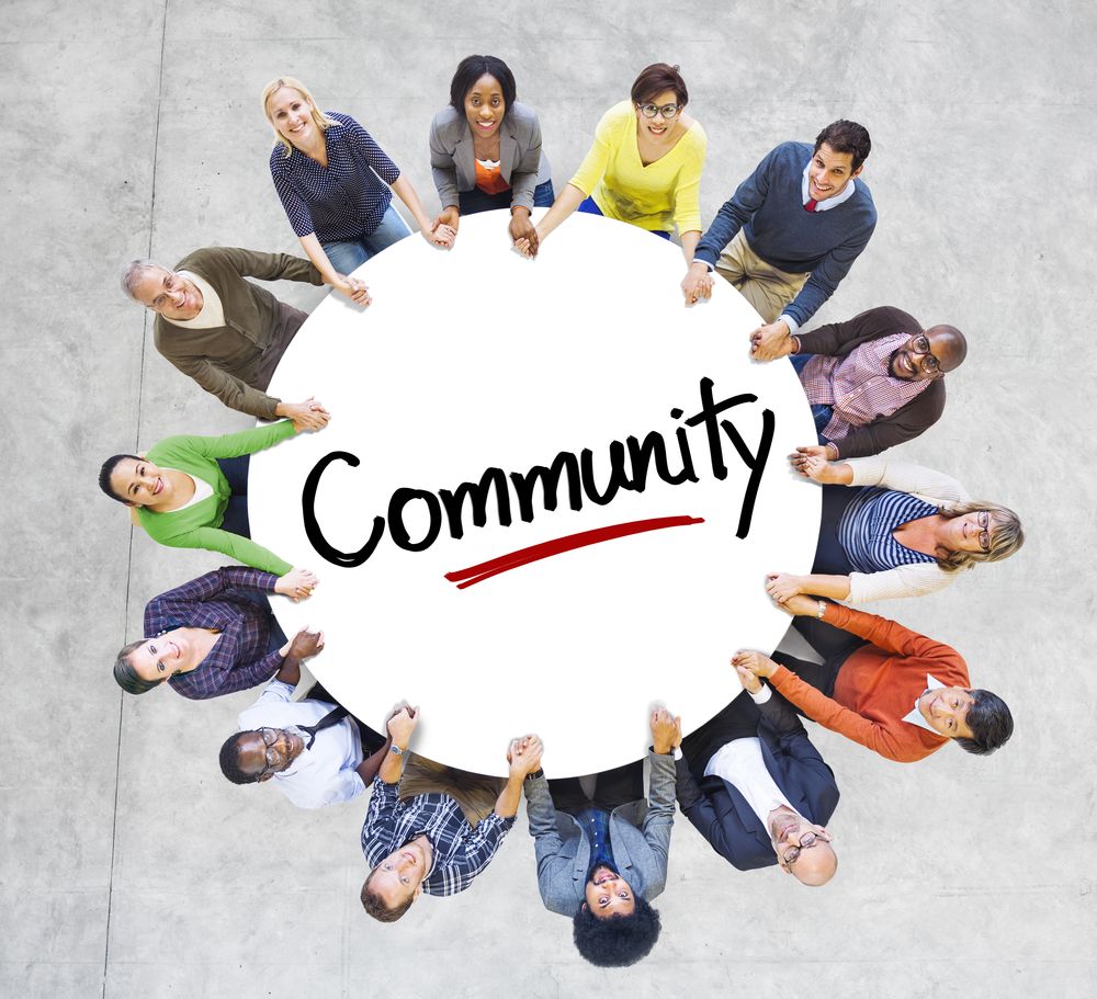 Community Consensus: The Reddit Verdict