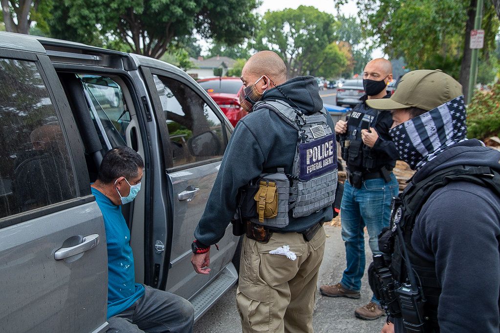 Capture and Conclusion: The Final Apprehension