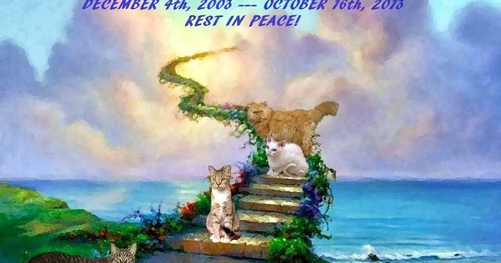 Saying Goodbye to a Beloved Family Pet: The Profound Impact of a Shared Loss