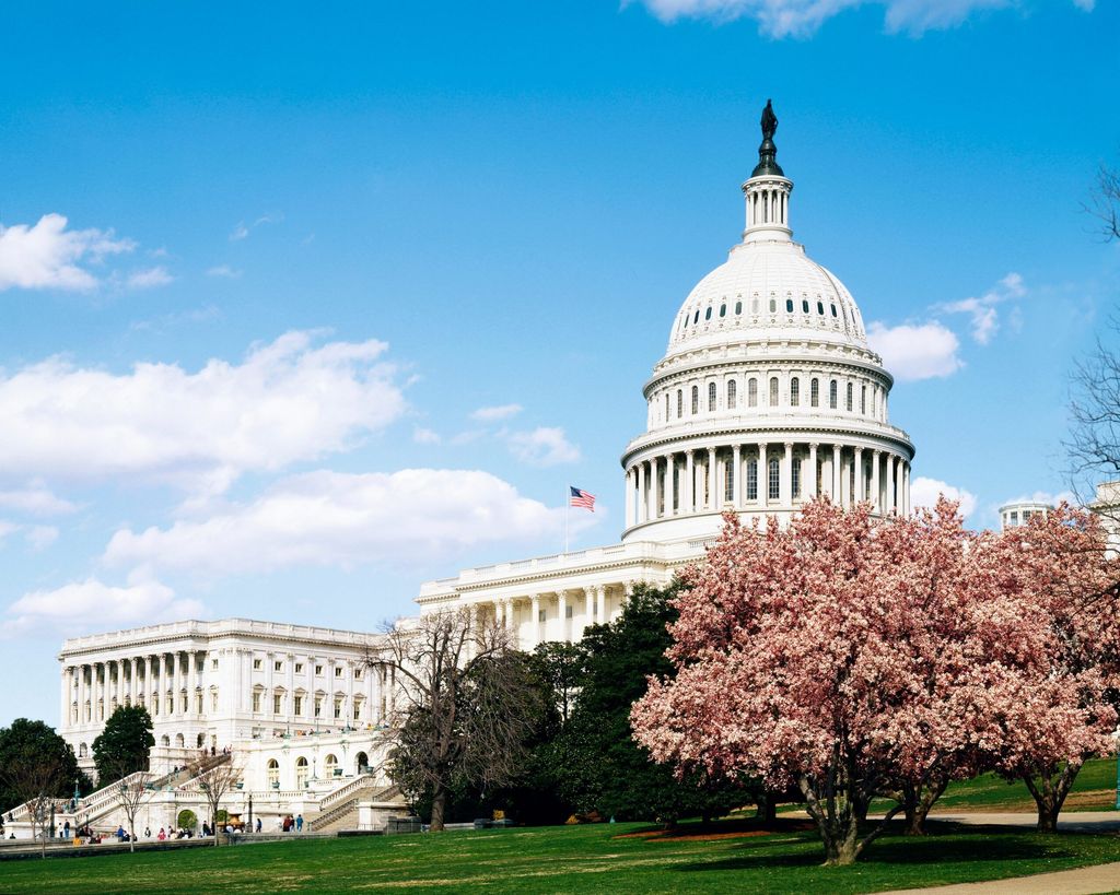 Diplomatic Engagements and American Civil War Delay