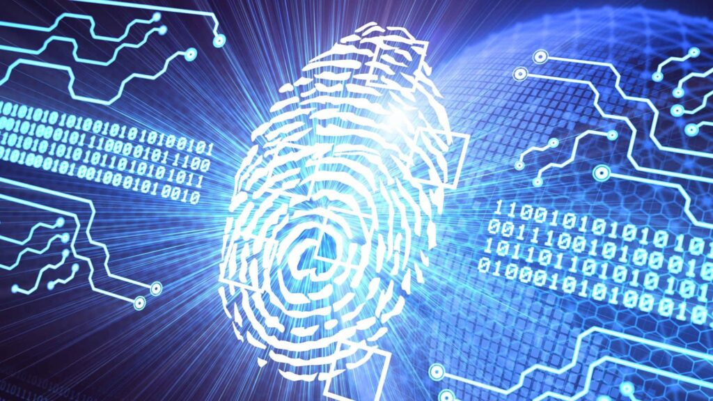 Identification Documents/Car Registration