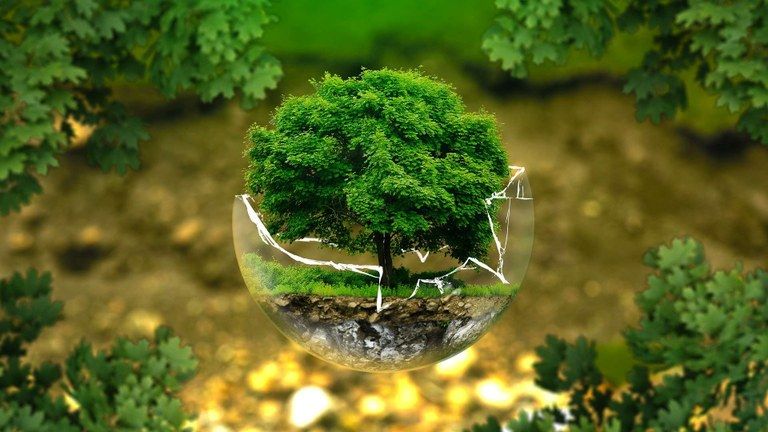 Environmental Advocates' Outcry and the Forfeiture to Global Competitors